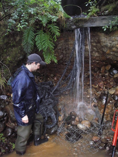 Environment Waikato scientist Mark Hamer installs polypropylene rope in a perched culvert in a Coromandel stream.  The rope is connected to a gabion basket in the streambed designed to prevent the streambed eroding further.